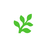 Fern